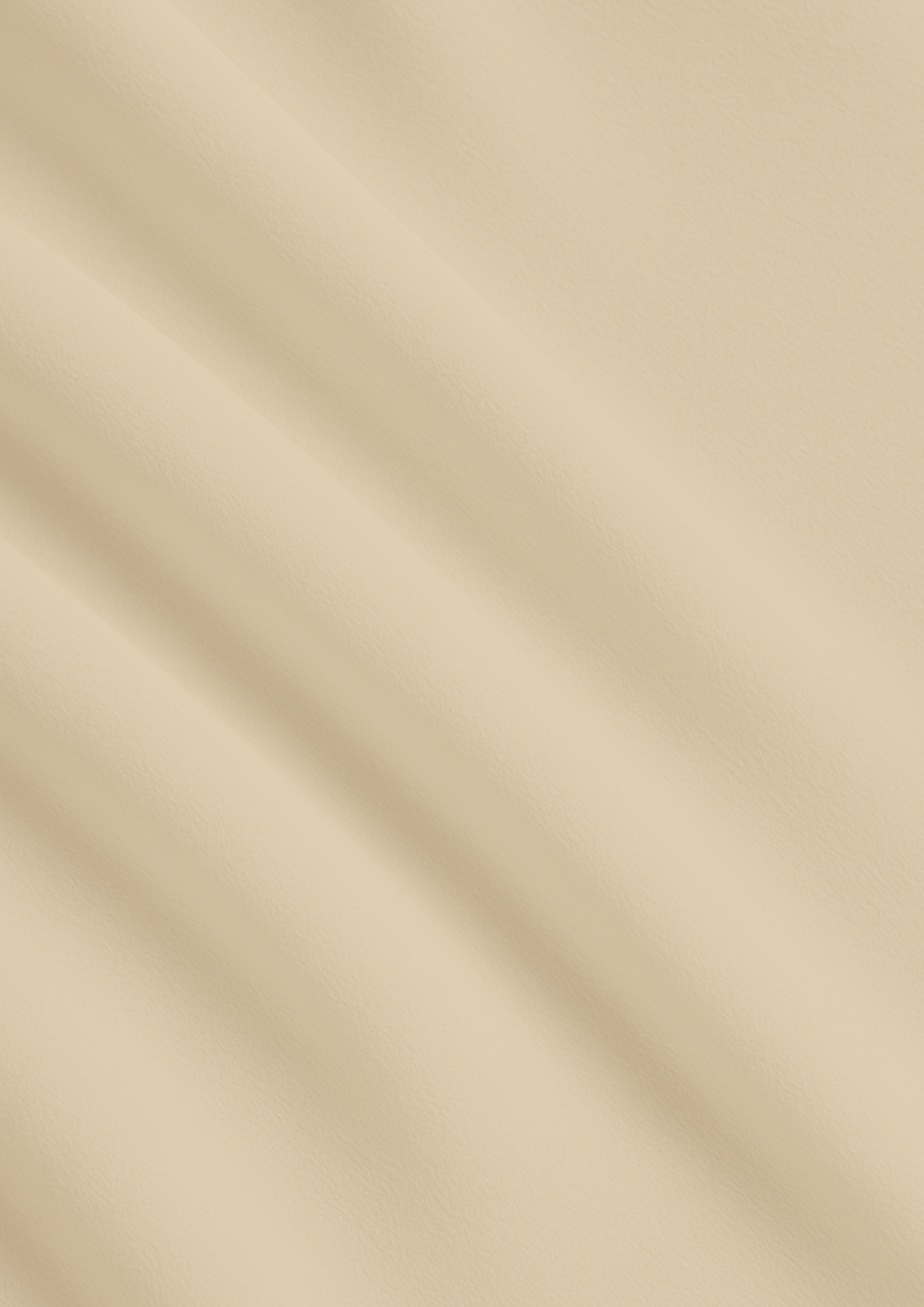 Soft Beige Georgette Hijab